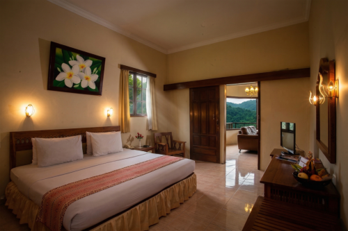 Inna-Tretes-suite-room