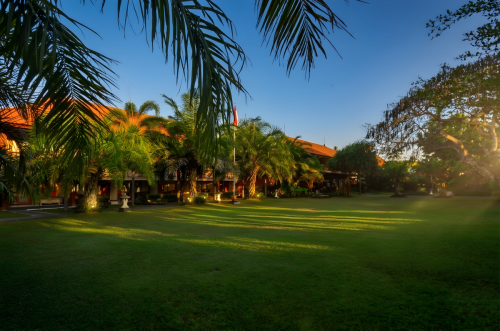 Flamboyan-Garden